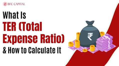 ter|how to calculate ter.